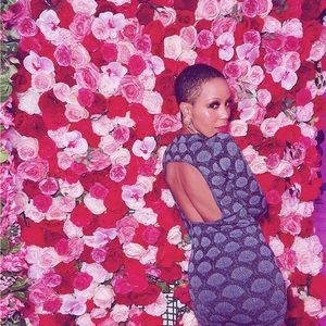 Zara Backless Long Sleeve Jacquard Dress